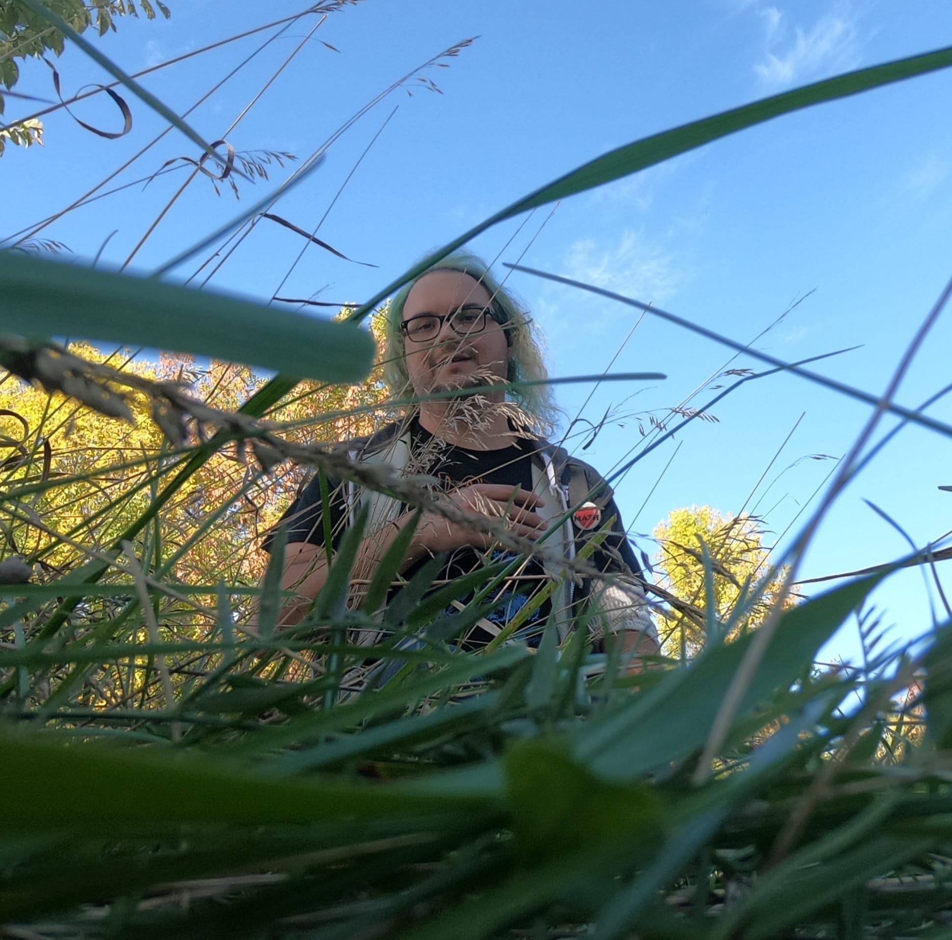 A man with long green hair sits on the ground, photographed through several blades of grass